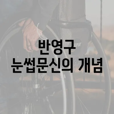 반영구 눈썹문신의 개념