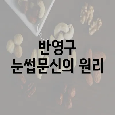 반영구 눈썹문신의 원리