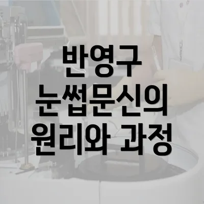 반영구 눈썹문신의 원리와 과정