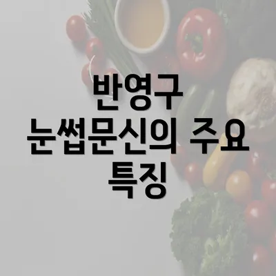 반영구 눈썹문신의 주요 특징