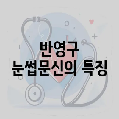 반영구 눈썹문신의 특징