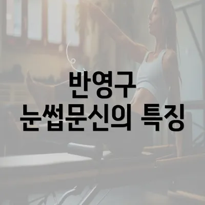 반영구 눈썹문신의 특징