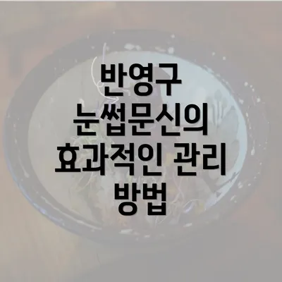 반영구 눈썹문신의 효과적인 관리 방법