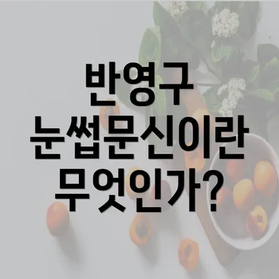 반영구 눈썹문신이란 무엇인가?