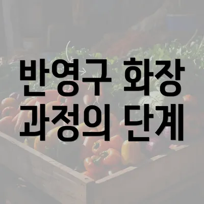 반영구 화장 과정의 단계