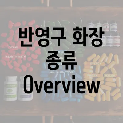 반영구 화장 종류 Overview