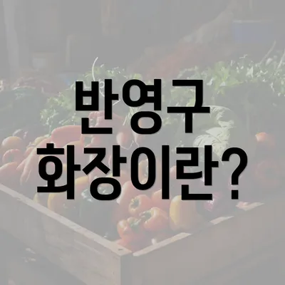 반영구 화장이란?