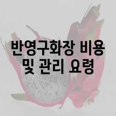 반영구화장 비용 및 관리 요령