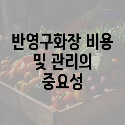 반영구화장 비용 및 관리의 중요성