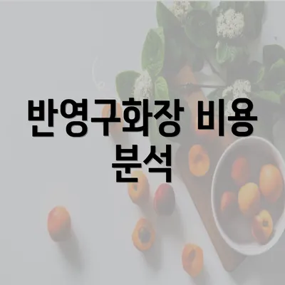 반영구화장 비용 분석