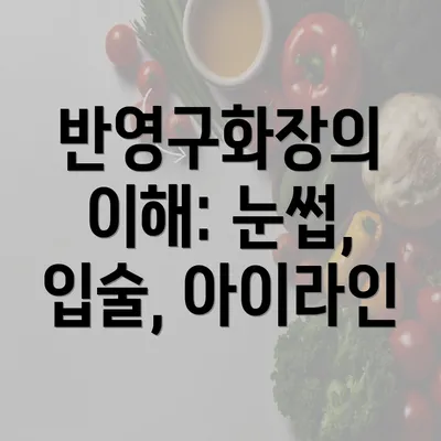 반영구화장의 이해: 눈썹, 입술, 아이라인