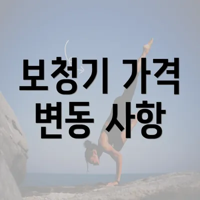 보청기 가격 변동 사항