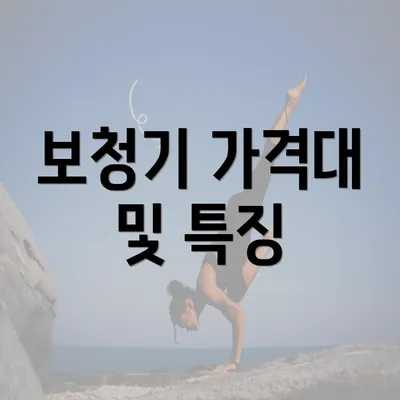 보청기 가격대 및 특징