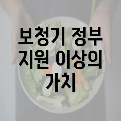 보청기 정부 지원 이상의 가치