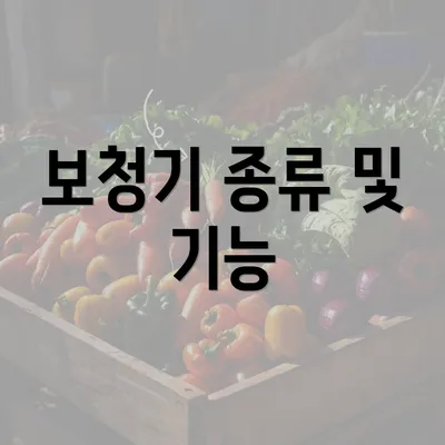 보청기 종류 및 기능