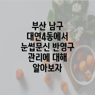 부산 남구 대연4동에서 눈썹문신 반영구 관리에 대해 알아보자