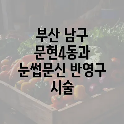 부산 남구 문현4동과 눈썹문신 반영구 시술