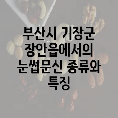 부산시 기장군 장안읍에서의 눈썹문신 종류와 특징