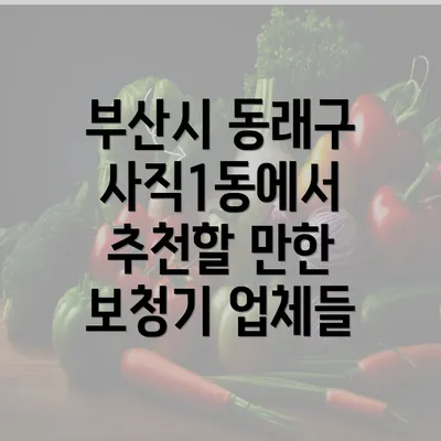 부산시 동래구 사직1동에서 추천할 만한 보청기 업체들