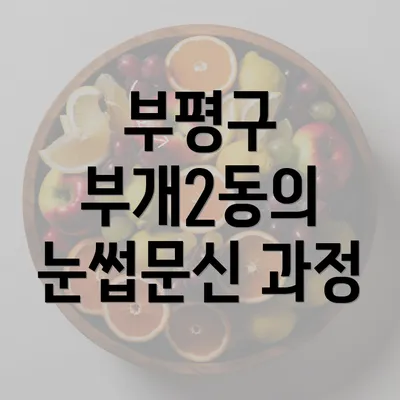 부평구 부개2동의 눈썹문신 과정