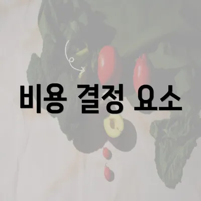 비용 결정 요소