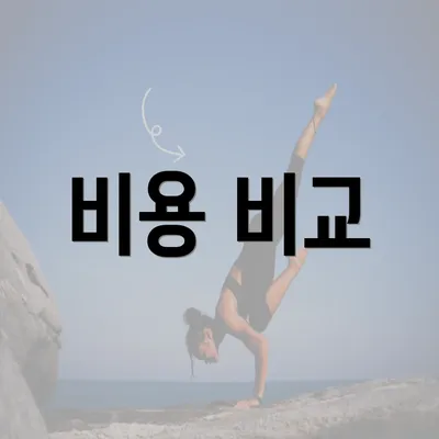 비용 비교