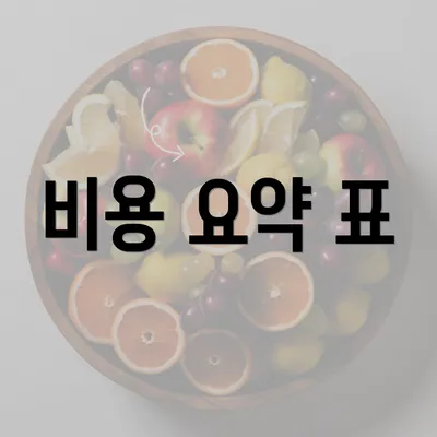 비용 요약 표