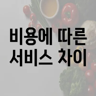 비용에 따른 서비스 차이