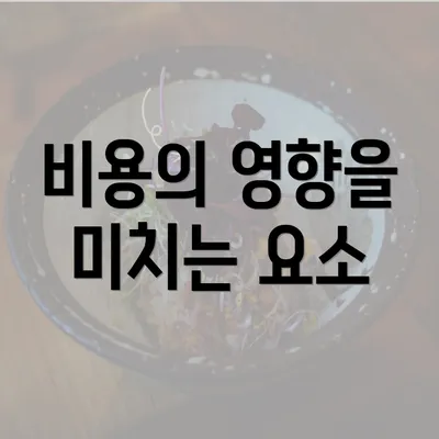 비용의 영향을 미치는 요소