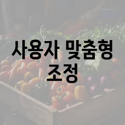 사용자 맞춤형 조정