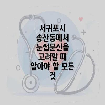 서귀포시 송산동에서 눈썹문신을 고려할 때 알아야 할 모든 것