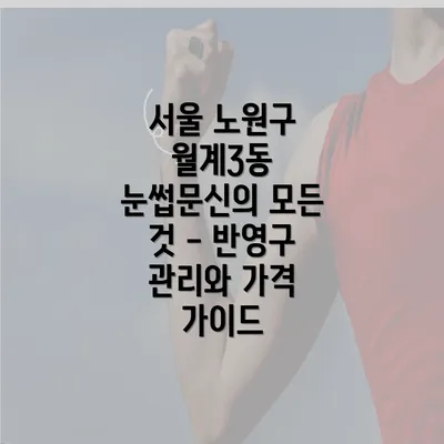 서울 노원구 월계3동 눈썹문신의 모든 것 - 반영구 관리와 가격 가이드