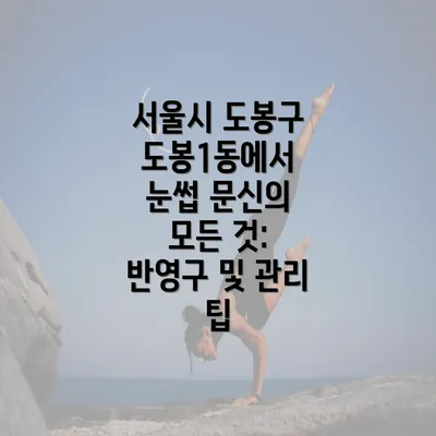 서울시 도봉구 도봉1동에서 눈썹 문신의 모든 것: 반영구 및 관리 팁