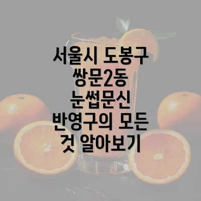 서울시 도봉구 쌍문2동 눈썹문신 반영구의 모든 것 알아보기