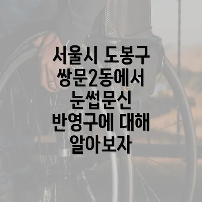 서울시 도봉구 쌍문2동에서 눈썹문신 반영구에 대해 알아보자