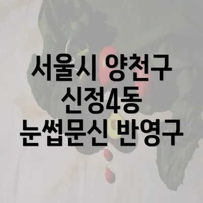 서울시 양천구 신정4동 눈썹문신 반영구