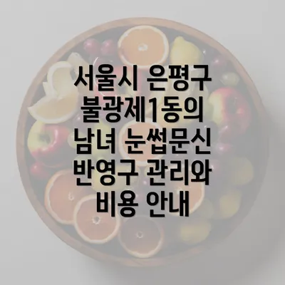 서울시 은평구 불광제1동의 남녀 눈썹문신 반영구 관리와 비용 안내