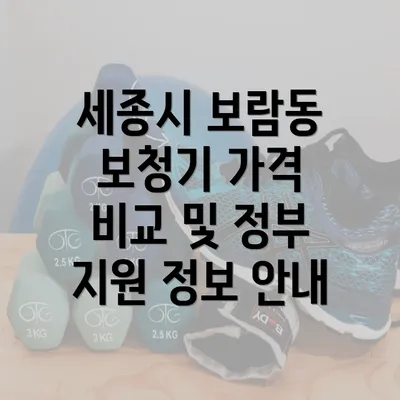 세종시 보람동 보청기 가격 비교 및 정부 지원 정보 안내