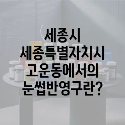 세종시 세종특별자치시 고운동에서의 눈썹반영구란?