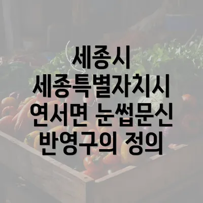 세종시 세종특별자치시 연서면 눈썹문신 반영구의 정의