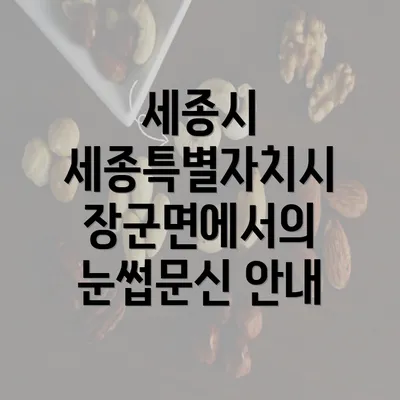 세종시 세종특별자치시 장군면에서의 눈썹문신 안내