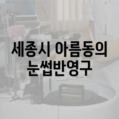 세종시 아름동의 눈썹반영구