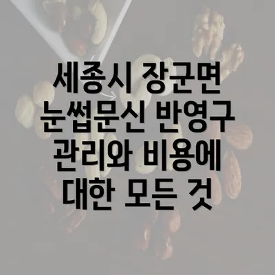 세종시 장군면 눈썹문신 반영구 관리와 비용에 대한 모든 것