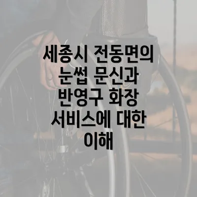 세종시 전동면의 눈썹 문신과 반영구 화장 서비스에 대한 이해