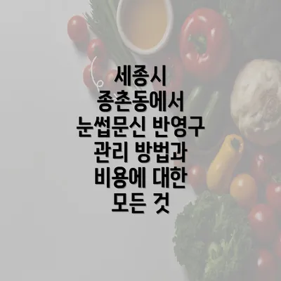 세종시 종촌동에서 눈썹문신 반영구 관리 방법과 비용에 대한 모든 것