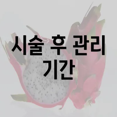 시술 후 관리 기간