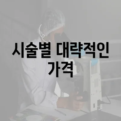 시술별 대략적인 가격