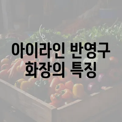 아이라인 반영구 화장의 특징