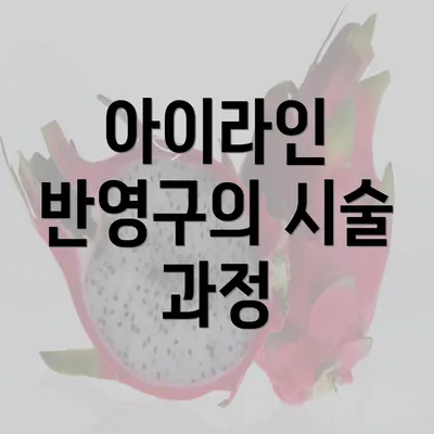 아이라인 반영구의 시술 과정