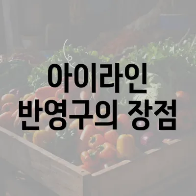 아이라인 반영구의 장점